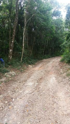 #205 - Área para Venda em Santana de Parnaíba - SP