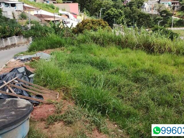 #284 - Terreno para Venda em Santana de Parnaíba - SP - 2