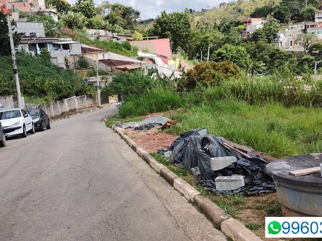 #284 - Terreno para Venda em Santana de Parnaíba - SP - 3